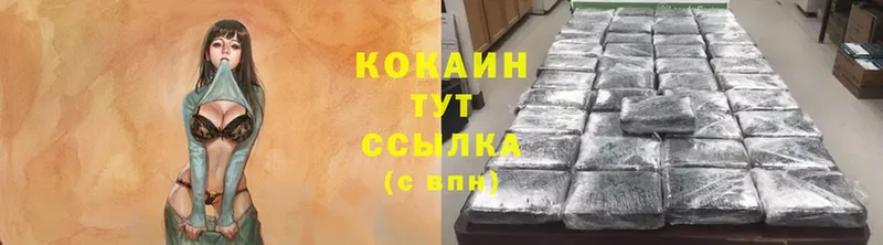 COCAIN FishScale  купить наркотики цена  Заполярный 